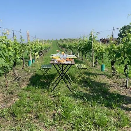 Starsbox Cascina Le Doti Luxury tent Neive