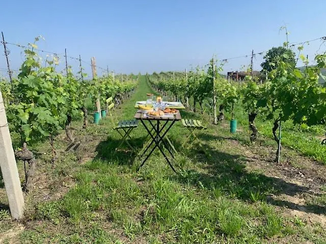 Starsbox Cascina Le Doti Luxury tent Neive