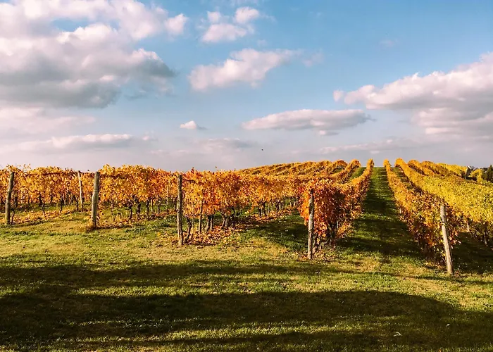 Starsbox Cascina Le Doti