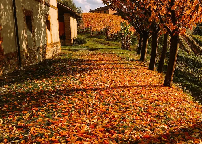 Starsbox Cascina Le Doti * Neive